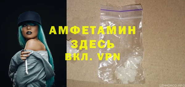 мдпв Снежногорск