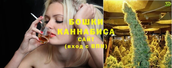дмт Белокуриха